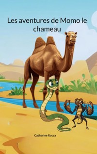 Les aventures de Momo le chameau - Catherine Rocca - E-Book