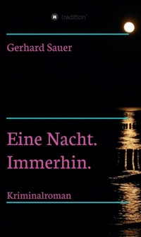 Eine Nacht. Immerhin. - Gerhard Sauer - E-Book