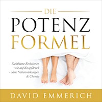 Die PotenzFormel - David Emmerich - Hörbuch