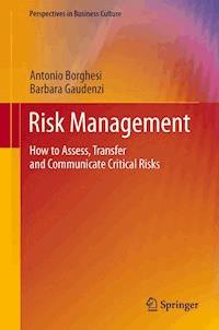 Risk Management - Antonio Borghesi - E-Book