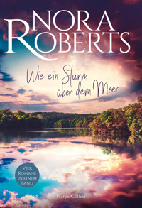 Wie ein Sturm über dem Meer - Nora Roberts - E-Book