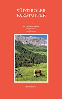 Südtiroler Farbtupfer - Florian Fritz - E-Book