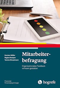 Mitarbeiterbefragung - Karsten Müller - E-Book