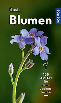 BASIC Blumen - Eva-Maria Dreyer - E-Book