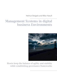 Management Systems in digital business Environments - Helmut Steigele - E-Book