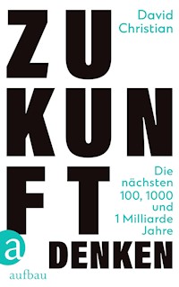 Zukunft denken - David Christian - E-Book