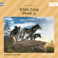 White Fang, Book 3 (Unabridged) - Jack  London - Hörbuch