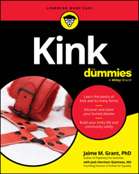 Kink For Dummies - Jaime M. Grant - E-Book