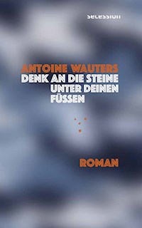 Denk an die Steine unter Deinen Füssen - Antoine Wauters - E-Book