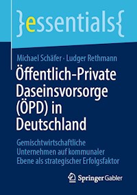Öffentlich-Private Daseinsvorsorge (ÖPD) in Deutschland - Michael Schäfer - E-Book