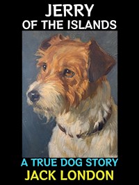 Jerry of the Islands - Jack  London - E-Book