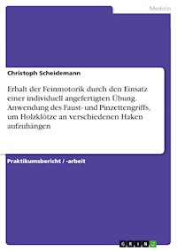 Erhalt der Feinmotorik durch den Einsatz einer individuell angefertigten Übung. Anwendung des Faust- und Pinzettengriffs, um Holzklötze an verschiedenen Haken aufzuhängen - Christoph Scheidemann - E-Book