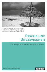 Praxis und Ungewissheit -  - kostenlos E-Book