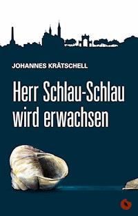 Herr Schlau-Schlau wird erwachsen - Johannes Krätschell - E-Book