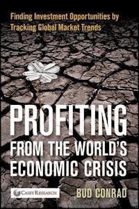 Profiting from the World's Economic Crisis - Bud Conrad - E-Book