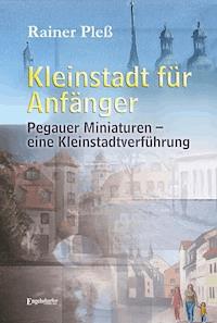 Kleinstadt für Anfänger - Rainer Pleß - E-Book