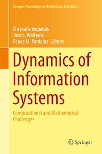 Dynamics of Information Systems -  - E-Book