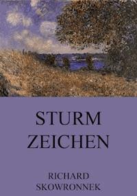Sturmzeichen - Richard Skowronnek - E-Book