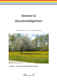 Gesetze & Gesetzmäßigkeiten - Peter vom See - E-Book