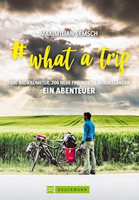 # what a trip - Maximilian Semsch - E-Book