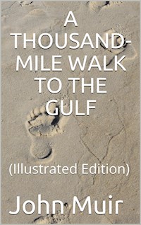 A Thousand-Mile Walk to the Gulf - John Muir - E-Book