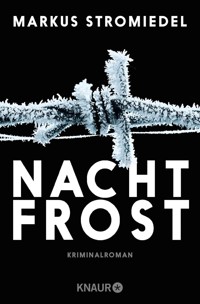Nachtfrost - Markus Stromiedel - E-Book + Hörbuch