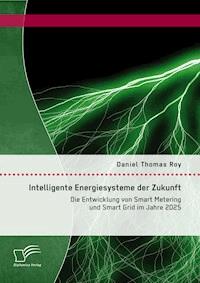 Intelligente Energiesysteme der Zukunft: Die Entwicklung von Smart Metering und Smart Grid im Jahre 2025 - Daniel Thomas Roy - E-Book