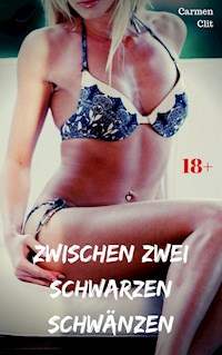 Zwischen zwei schwarzen Schwänzen - Carmen Clit - E-Book