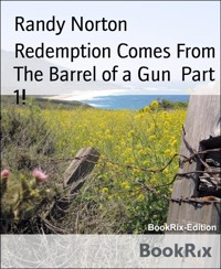 Redemption Comes From The Barrel of a Gun  Part 1! - Randy Norton - E-Book