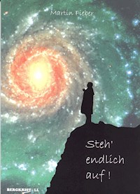 Steh endlich auf! - Martin Fieber - E-Book