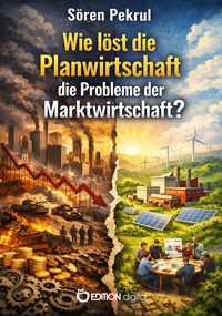 Wie löst die Planwirtschaft die Probleme der Marktwirtschaft? - Sören Pekrul - E-Book