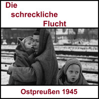 Die schreckliche Flucht - Familie Steinhoff - Hörbuch