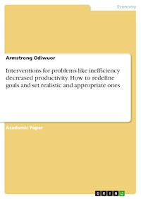 Interventions for problems like inefficiency decreased productivity. How to redefine goals and set realistic and appropriate ones - Armstrong Odiwuor - E-Book