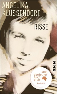 Risse - Angelika Klüssendorf - E-Book