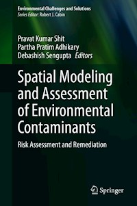 Spatial Modeling and Assessment of Environmental Contaminants -  - E-Book