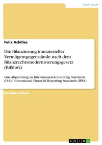 Die Bilanzierung immaterieller Vermögensgegenstände nach dem Bilanzrechtsmodernisierungsgesetz (BilMoG) - Felix Achilles - E-Book