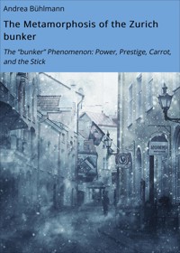 The Metamorphosis of the Zurich bunker - Andrea Bühlmann - E-Book