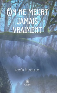 On ne meurt jamais vraiment - Agnès Morillon - E-Book