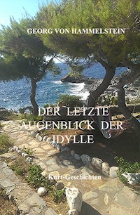 Der letzte Augenblick der Idylle - Georg von Hammelstein - E-Book