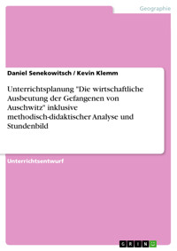 Unterrichtsplanung "Die wirtschaftliche Ausbeutung der Gefangenen von Auschwitz" inklusive methodisch-didaktischer Analyse und Stundenbild - Daniel Senekowitsch - E-Book