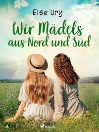 Wir Mädels aus Nord und Süd - Else Ury - E-Book