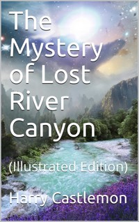 The Mystery of Lost River Canyon - Harry Castlemon - E-Book