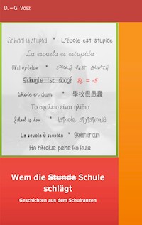 Wem die Stunde Schule schlägt - D. - G. Vosz - E-Book