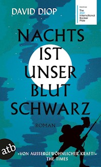 Nachts ist unser Blut schwarz - David Diop - E-Book
