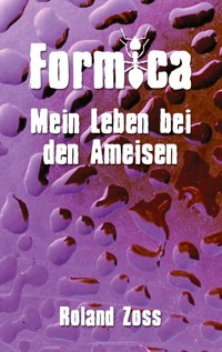 Formica - Roland Zoss - E-Book