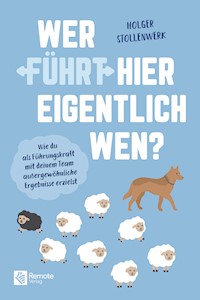 Wer führt hier eigentlich wen? - Holger Stollenwerk - E-Book