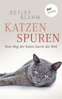 Katzenspuren - Detlef Bluhm - E-Book