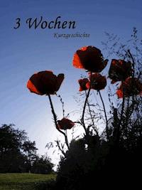 Drei Wochen - Simone Zenker - E-Book