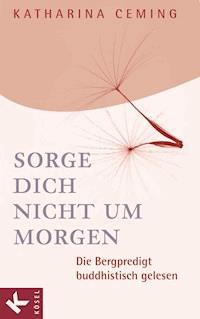 Sorge dich nicht um morgen - Katharina Ceming - E-Book