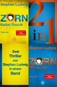 Kalter Rauch / Wie du mir – Zwei Zorn-Thriller in einem Band - Stephan Ludwig - E-Book